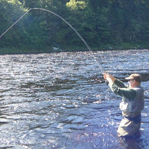 Meet your Posher, Jeff